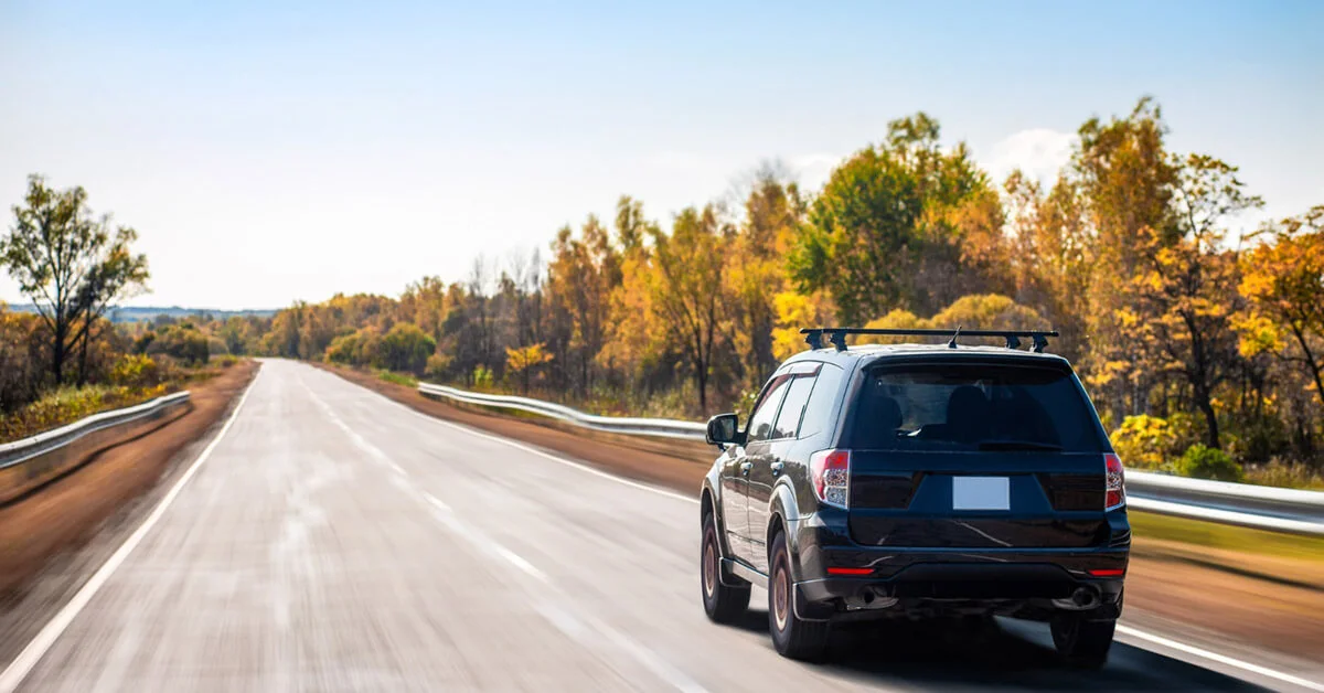 Verificare rovinieta